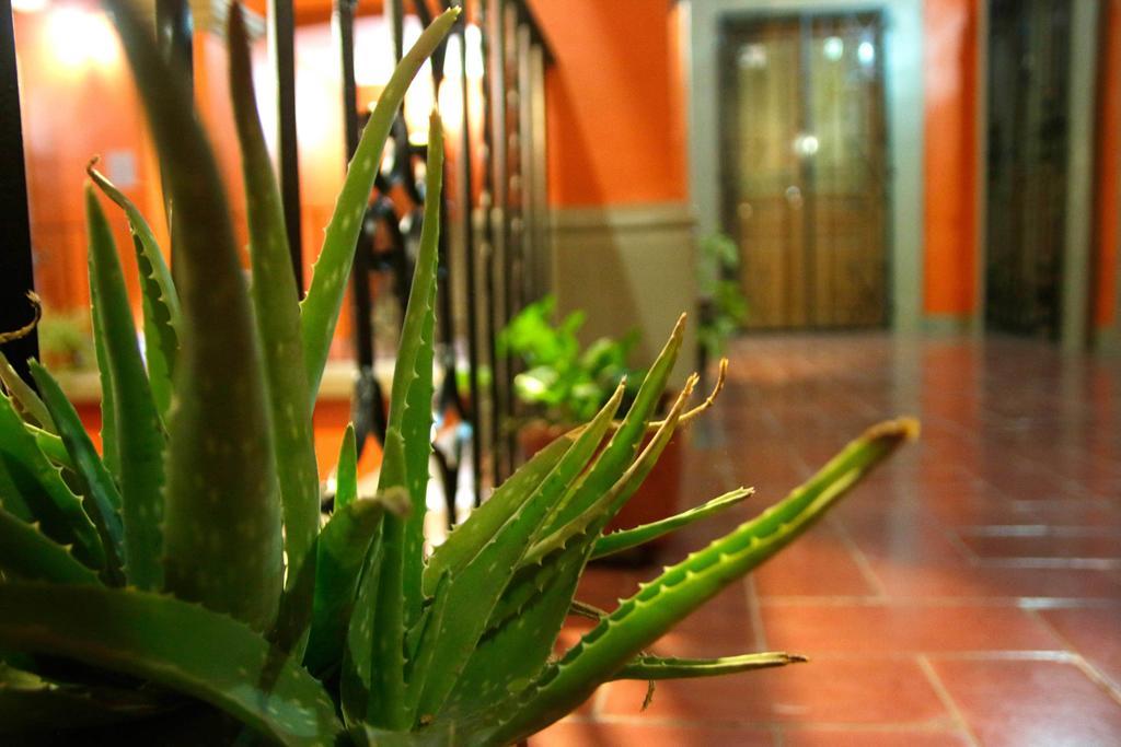 Parador San Fernando Oaxaca Екстер'єр фото